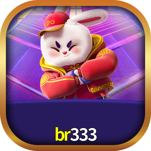 br333
